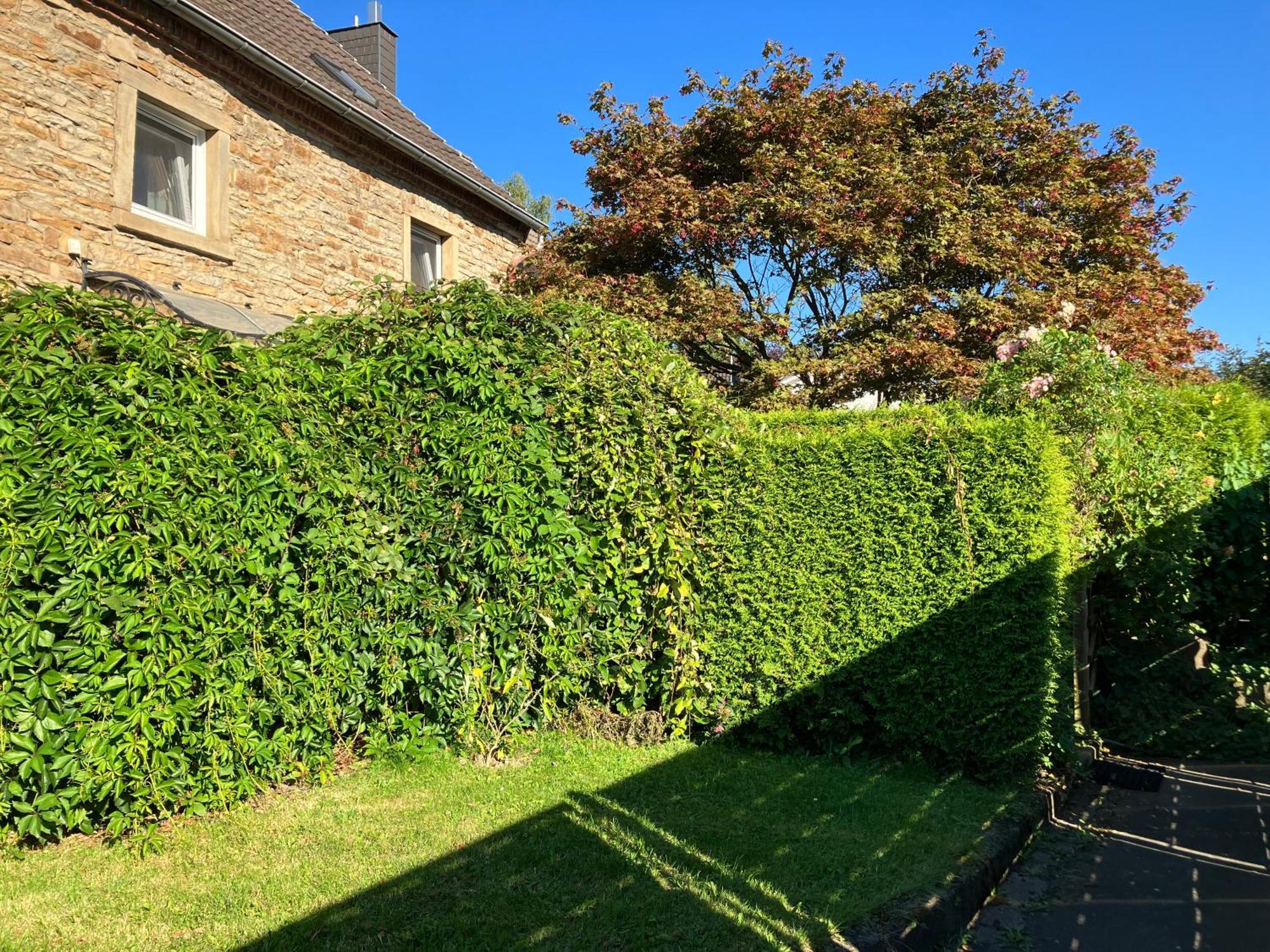 Ferienwohnung Im Gruenen Eg Mit Terrasse Herdecke Exteriör bild